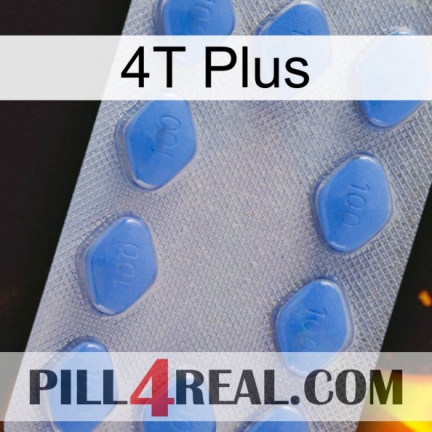 4T Plus 21